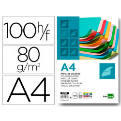 PAPEL COLOR LIDERPAPEL A4 80GR 25 COLORES SURTIDOS PAQUETE DE 100 HOJAS