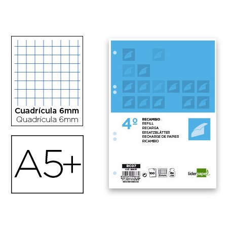 RECAMBIO LIDERPAPEL CUARTO 100 HOJAS 60G/M2 CUADRO 6MM CON MARGEN 6 TALADROS