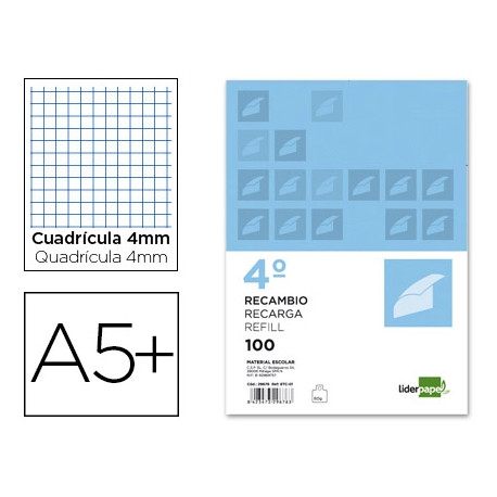 RECAMBIO LIDERPAPEL CUARTO APAISADO 100 H 2TCA-01 CUADRO 4 MM 2 TALADROS CON MARGEN