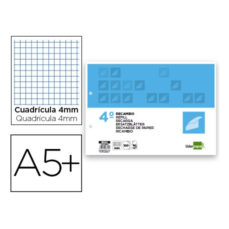 RECAMBIO LIDERPAPEL CUARTO APAISADO 100 H 2TCA-06 CUADRO 3 MM 2 TALADROS CON MARGEN