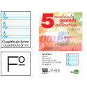 RECAMBIO LIDERPAPEL DIN A4 PAUTAGUIA 100 HOJAS 75 G CUADRICULADO PAUTADO 5 MM CON MARGEN 4 TALADROS