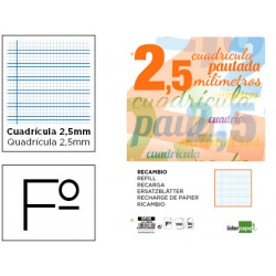 RECAMBIO LIDERPAPEL A4 PAUTAGUIA 100 HOJAS 75 G/M2 CUADRICULADO PAUTADO 2,5 MM CON MARGEN 4 TALADROS